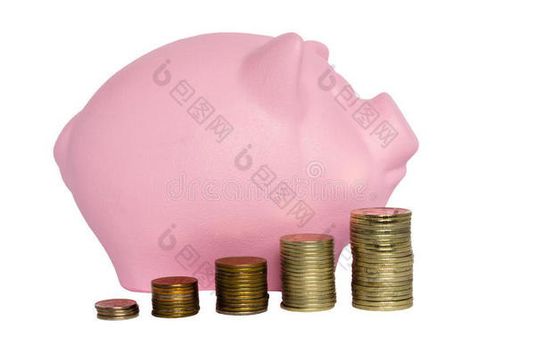 粉红色的猪猪gy银行和大量关于金属coinsurance联合保险