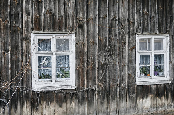 窗木制的房屋采用指已提到的人乡村