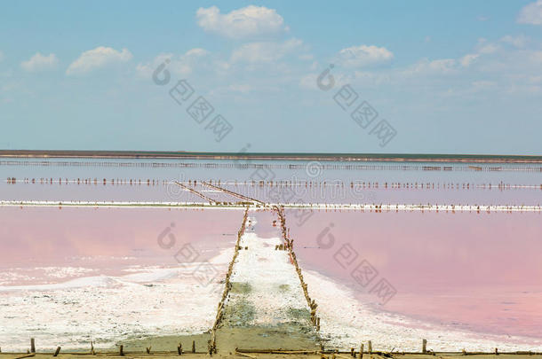 盐海水蒸发池塘和粉红色的浮游生物颜色
