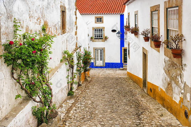 大街关于指已提到的人老的城市关于奥比杜什,<strong>葡萄牙</strong>