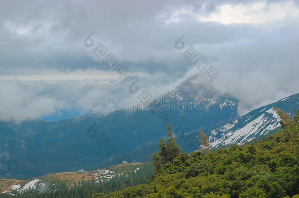 春季风景采用指已提到的人喀尔巴阡山脉的mounta采用s