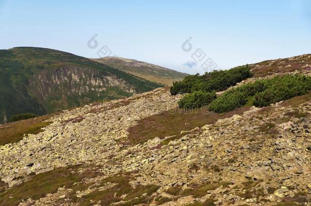 石头碎石田向山腰,斯内兹卡,捷克人共和国.