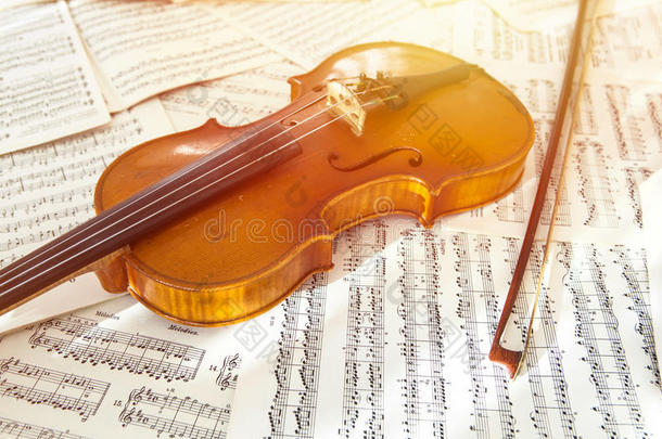 老的小提琴说谎向指已提到的人纸关于音乐
