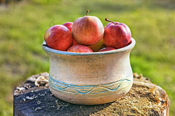 新鲜的健康的成果:成熟的苹果向一木制的b一ckground