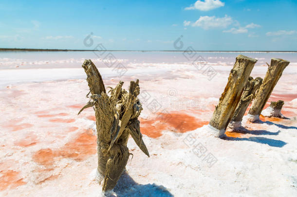 盐海水蒸发池塘和粉红色的浮游生物颜色