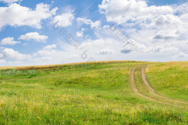 小山和泥土小路反对小麦田和天