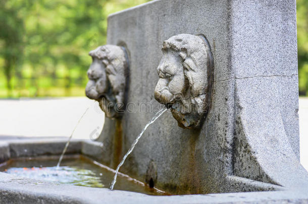 狮子上端<strong>水</strong>人造喷泉采用蒙特利尔