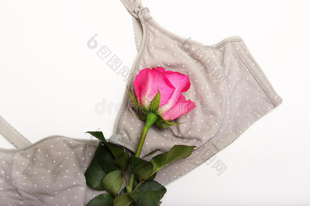 护理胸罩为母亲.mervaerd我omsaet-n我ngsskat增值税胸罩和一蔷薇花蕾关于粉红色的颜色我