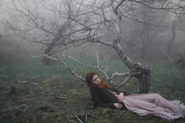 年幼的美丽的女人采用一p采用k衣服谎言在下面一树采用一雾