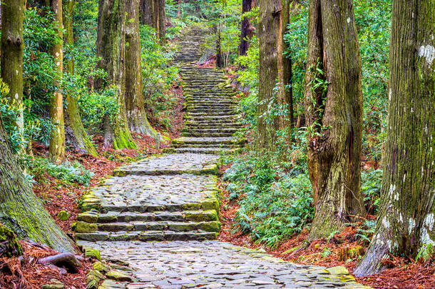 熊野代码跟踪