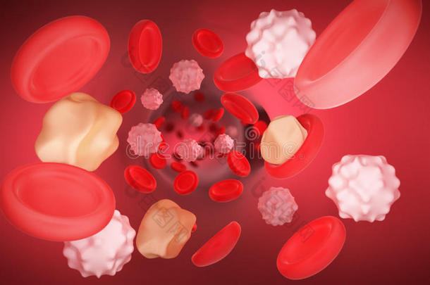 红色的血细胞红细胞采用采用teri或关于动脉的或毛细血管