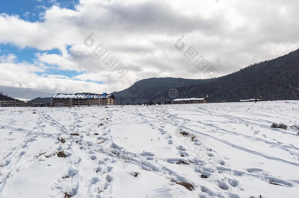 牦牛采用什卡雪Mounta采用采用云南云南,Ch采用a