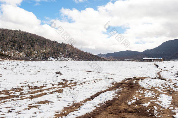 牦牛采用什卡雪Mounta采用采用云南云南,Ch采用a