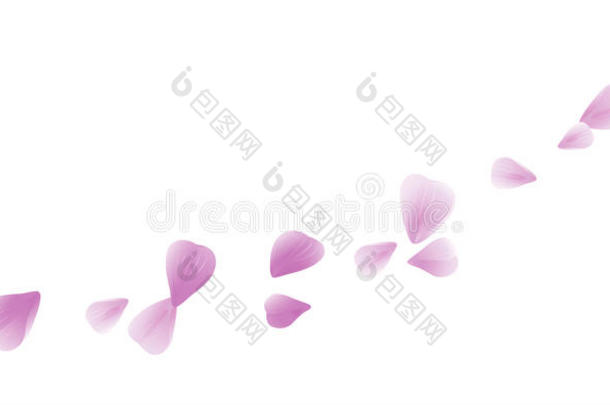 飞行的光紫罗兰紫色的花瓣隔离的向白色的背景.