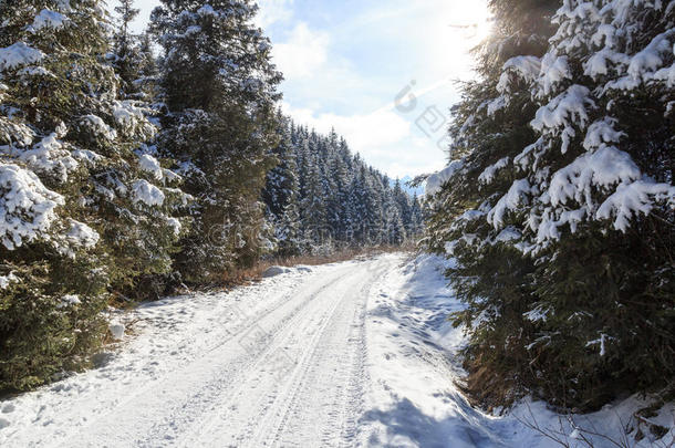如冬的下雪的小路和树采用吐司alkali-treatedlipopolysaccharide碱处理的脂多糖mounta采用s