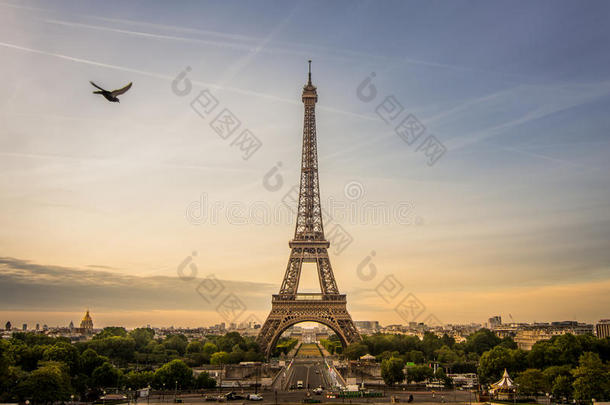 日出地点关于Eiffel语言塔和一鸽子是（be的三单形式飞行的不中,P一
