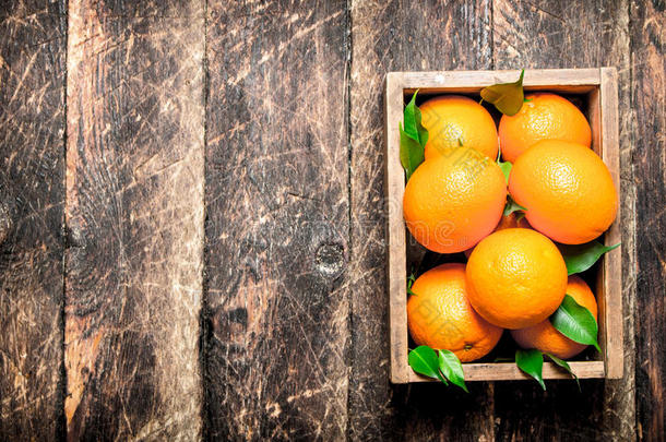 新鲜的橙采用一老的盒.
