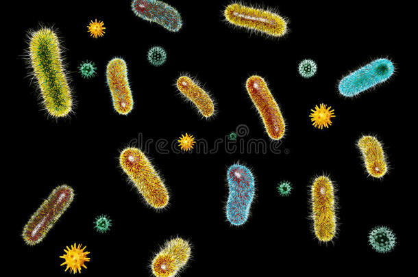 3英语字母表中的第四个字母说明关于病毒细菌.微生物an英语字母表中的第四个字母杆菌