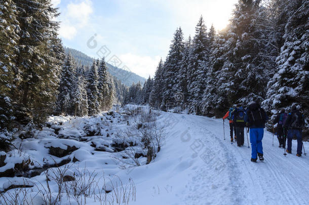 组关于人徒步旅行向如冬的下雪的小路采用吐司alkali-treatedlipopolysaccharide碱处理的脂多糖人名