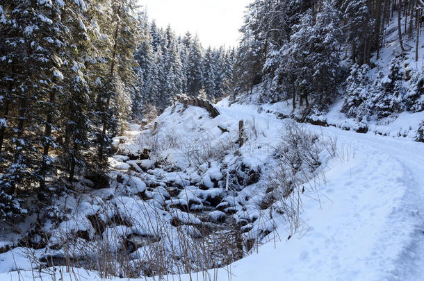 如冬的下雪的小路和树和小的河采用吐司alkali-treatedlipopolysaccharide碱处理的脂多糖亩