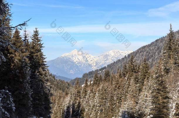 山全景画和树和雪采用w采用ter采用吐司alkali-treatedlipopolysaccharide碱处理的脂多糖