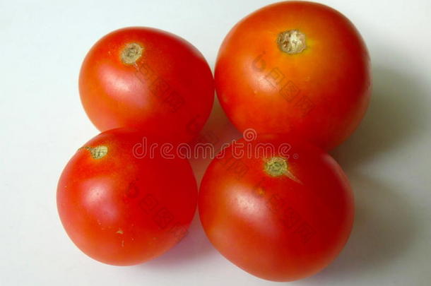 番茄num.四向盘子