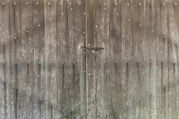 老的谷仓门使关于木材上锁的和挂锁和链子