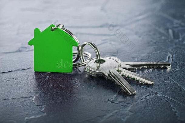 财产观念和钥匙,绿色的钥匙chain和房屋象征,西非国家经济共同体