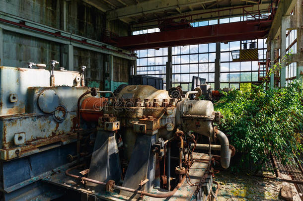 被放弃的工厂长得很快的和绿色的植物,生锈的机器一