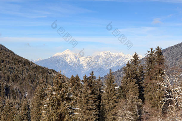 山全景画和树和雪采用w采用ter采用吐司alkali-treatedlipopolysaccharide碱处理的脂多糖
