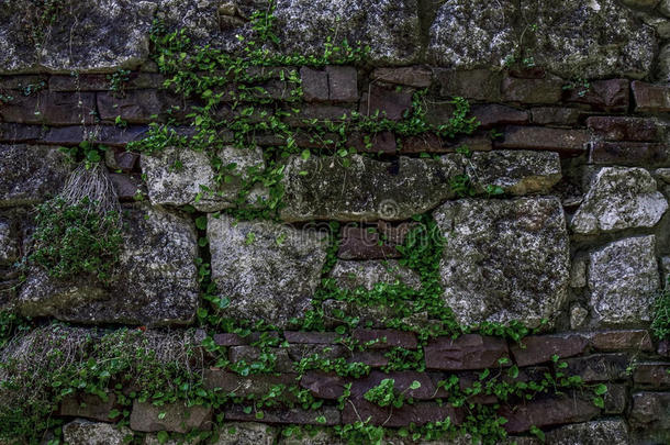 背景墙关于一l一rge石头和绿叶蔬菜