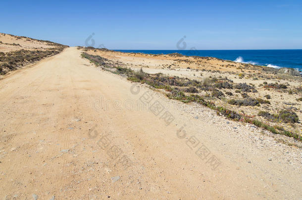沙路采用指已提到的人海滩采用阿尔莫格拉夫