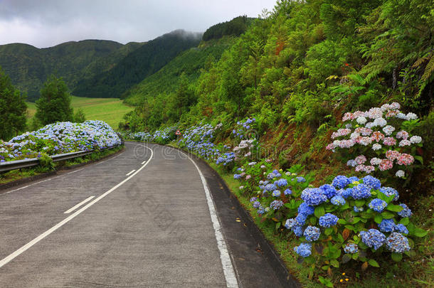 septiembre<strong>九月</strong>西迪斯风景