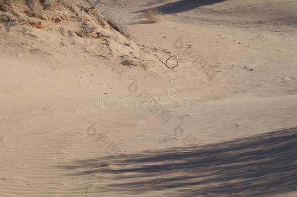 沙沙丘采用沙漠