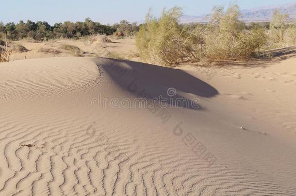 沙沙丘采用沙漠