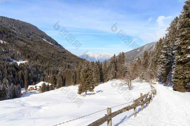 木制的房屋,山全景画,树和小路和雪采用w采用