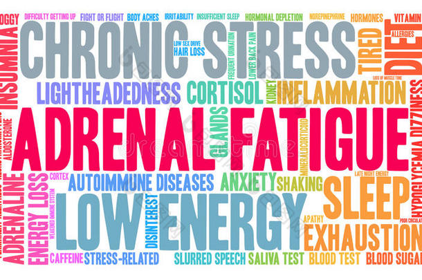 肾上的疲劳单词云