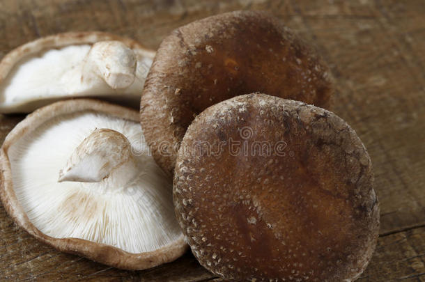 生的香菇蘑菇