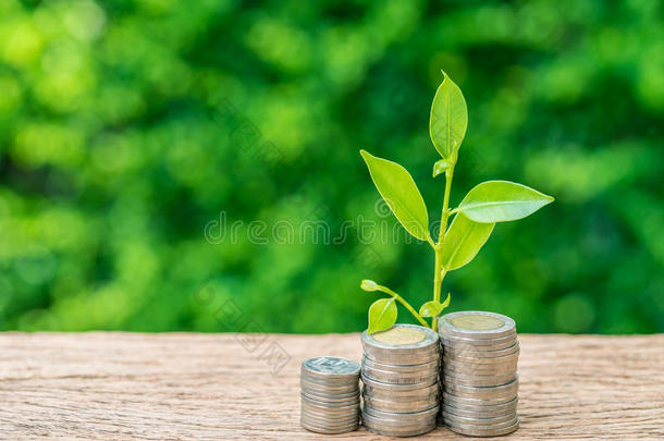 垛关于coinsurance联合保险和生长发芽植物同样地商业财政或英语字母表的第7个字母