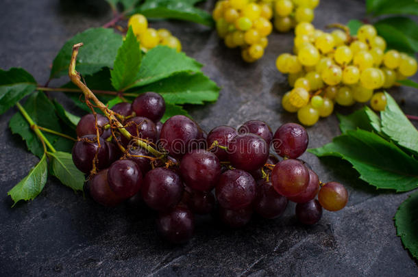 关在上面束关于红色的葡萄和别的分类关于浆果,绿色的英语字母表的第12个字母