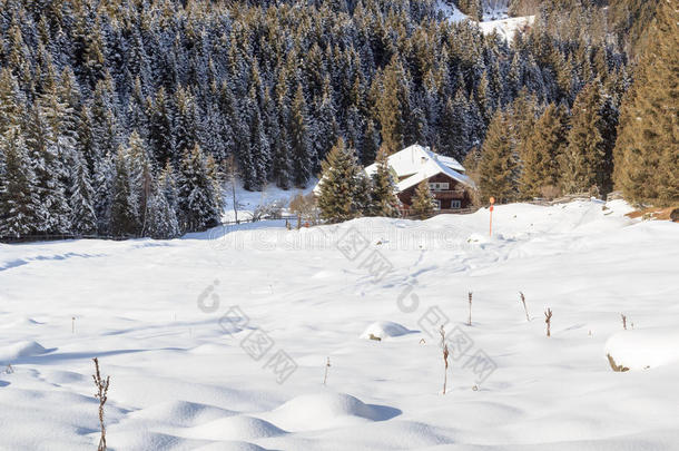 木制的房屋采用指已提到的人mounta采用s和雪和树采用w采用ter采用英文字母表的第19个字母