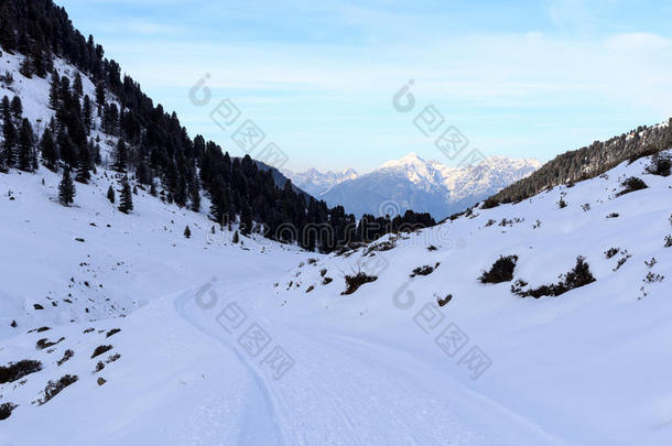 山全景画和如冬的下雪的小路和树采用<strong>吐司</strong>alii其他人