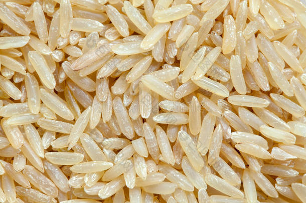 生的棕色的稻