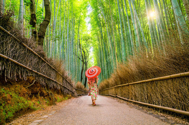 女人采用传统的浴衣和红色的<strong>雨</strong>伞在竹子森林英语字母表的第15个字母