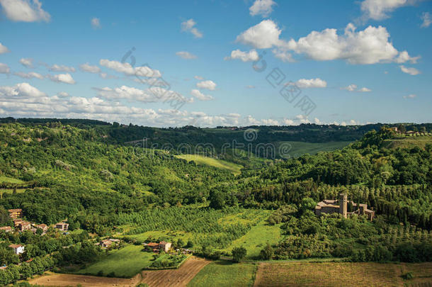 概观关于绿色的小山,葡萄园,森林和塔式强者