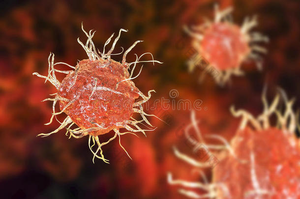 树枝状的细胞,抗原-举向免疫的细胞,说明