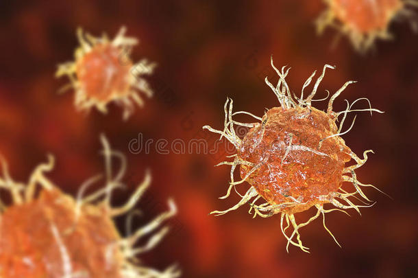 树枝状的细胞,抗原-举向免疫的细胞,说明