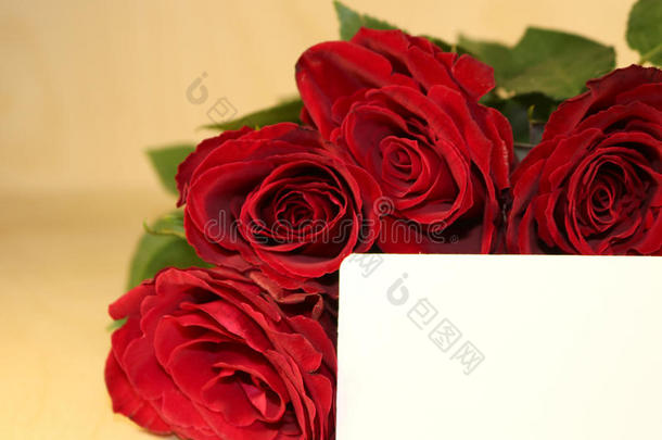 花束关于红色的玫瑰和一白色的bl一nkl一bel