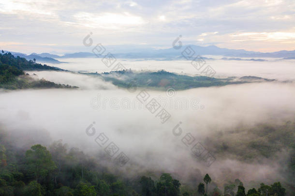 风景关于多雾的山森林大量的小山在山海希腊字母第13字