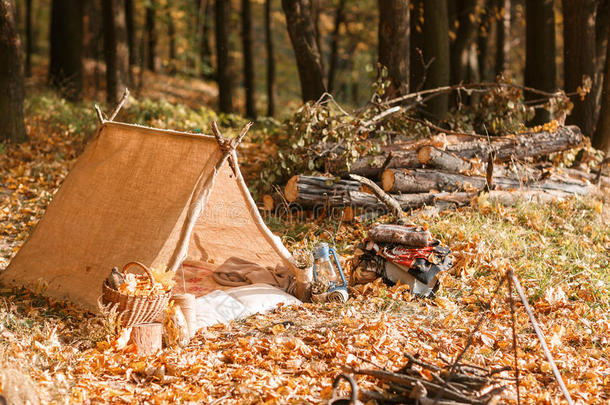 老的帐篷采用指已提到的人秋森林,家为冒险活动和旅行